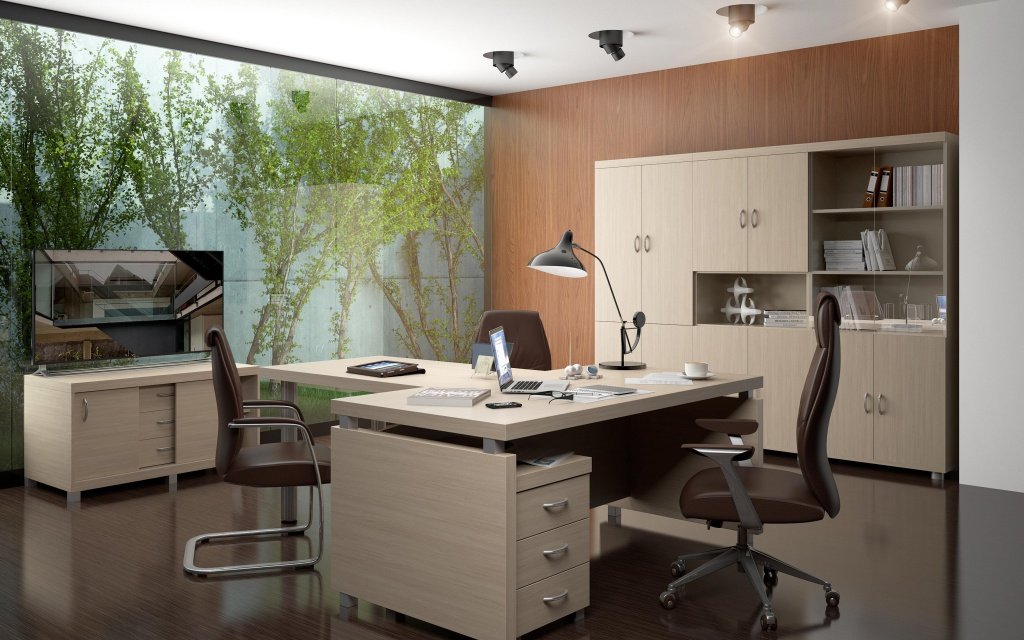 Кабинет руководителя &laquo;Модерн&raquo; - вид 2